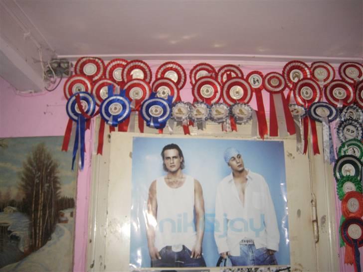 Mine rosetter - Min væg billede 1