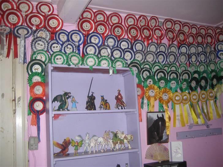 Mine rosetter - Min væg billede 2