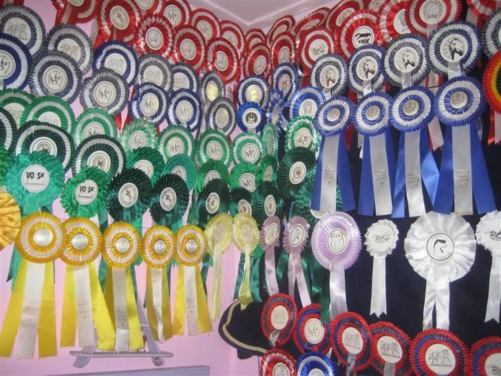 Mine rosetter - Min væg billede 3