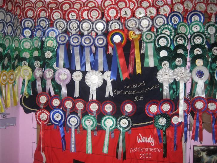 Mine rosetter - Min væg billede 4