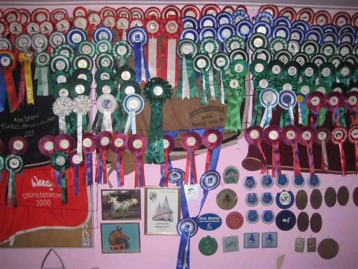 Mine rosetter - Min væg billede 5