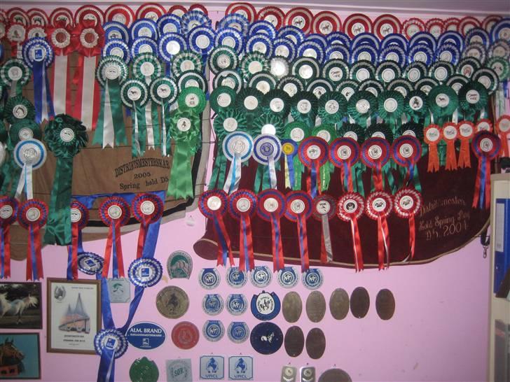 Mine rosetter - Min væg billede 6