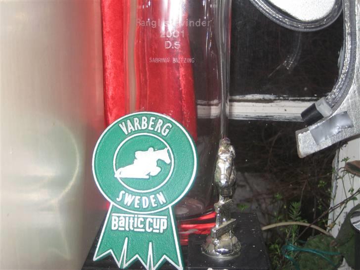 Mine rosetter - Deltager plaquette fra Baltic Cup i Varberg (Sverige) 2002 billede 8