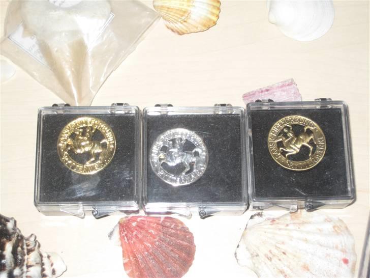 Mine rosetter - Mine pony mærker (guld, sølv og bronze) billede 12