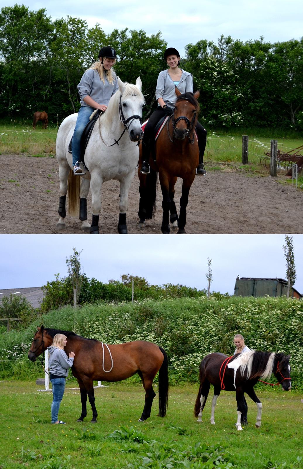 Vores billedebog. - Min veninde Sara og jeg hygger om hestene her i uge 27! :-D <3 billede 97