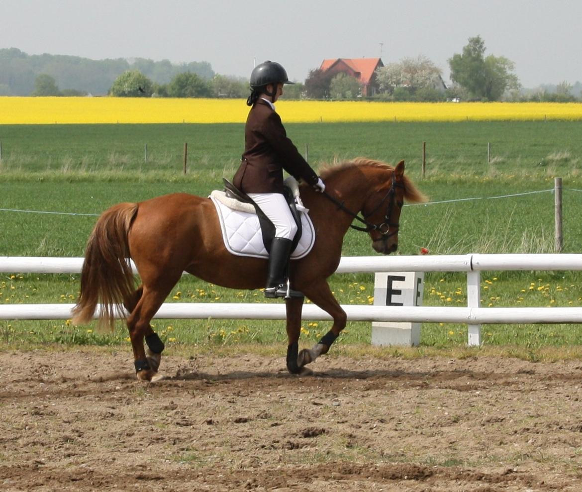 Maybe Baby 2013 billede 36