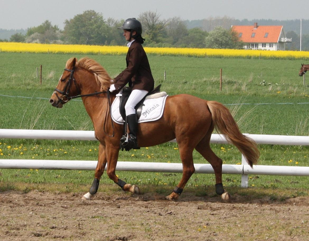 Maybe Baby 2013 billede 35