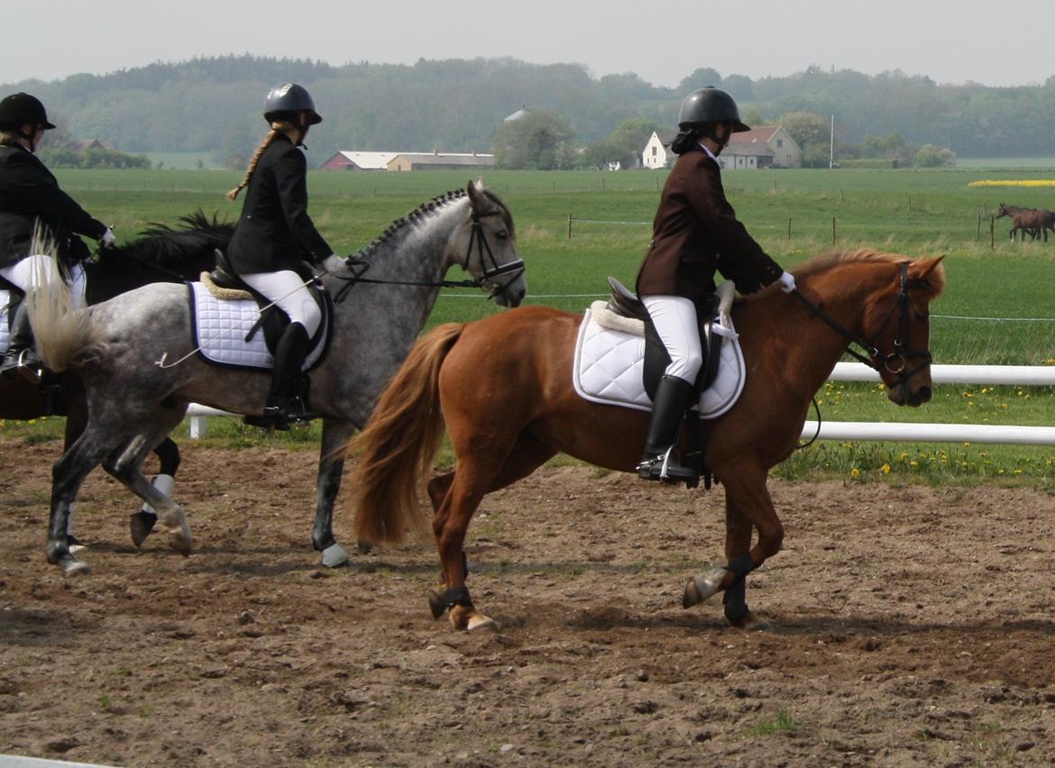 Maybe Baby 2013 billede 32