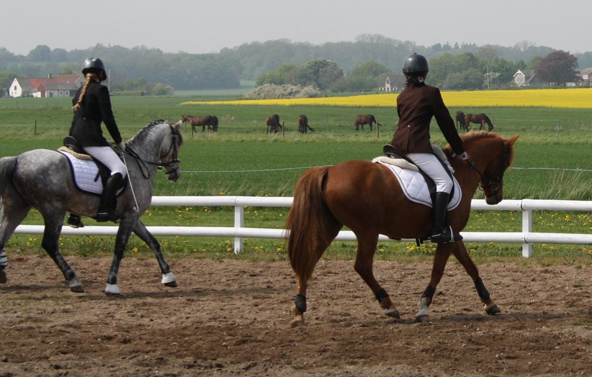 Maybe Baby 2013 billede 31