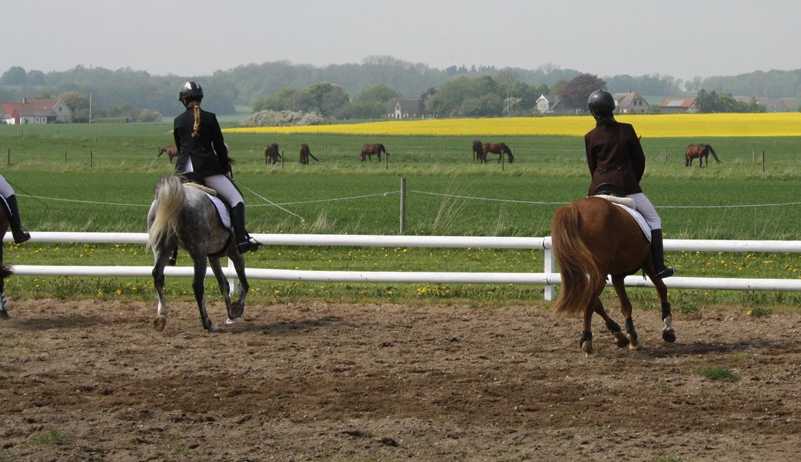 Maybe Baby 2013 billede 30