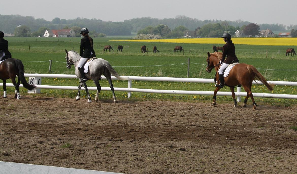 Maybe Baby 2013 billede 29