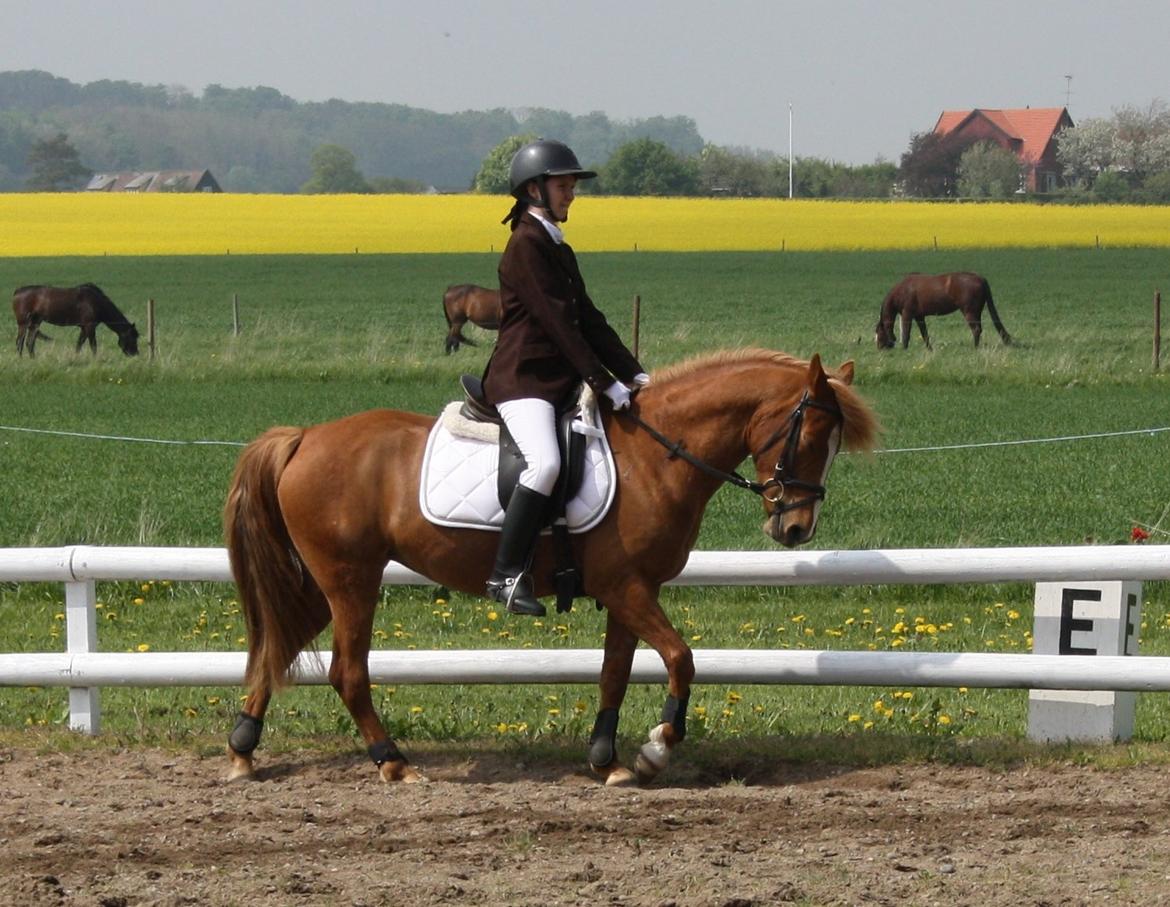 Maybe Baby 2013 billede 28