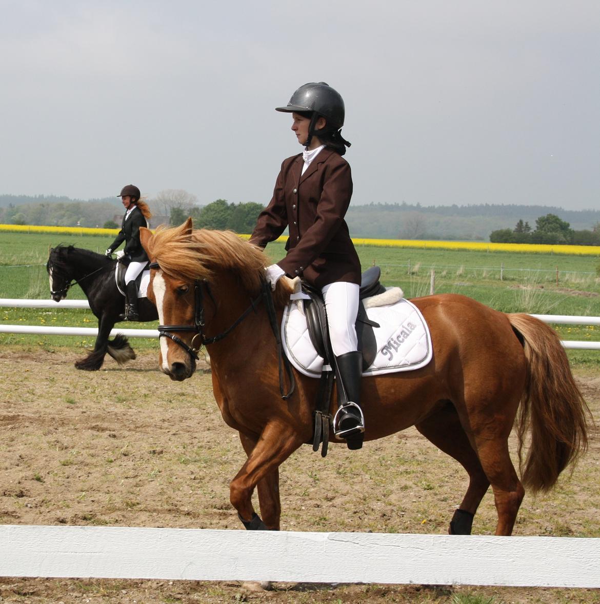 Maybe Baby 2013 billede 27