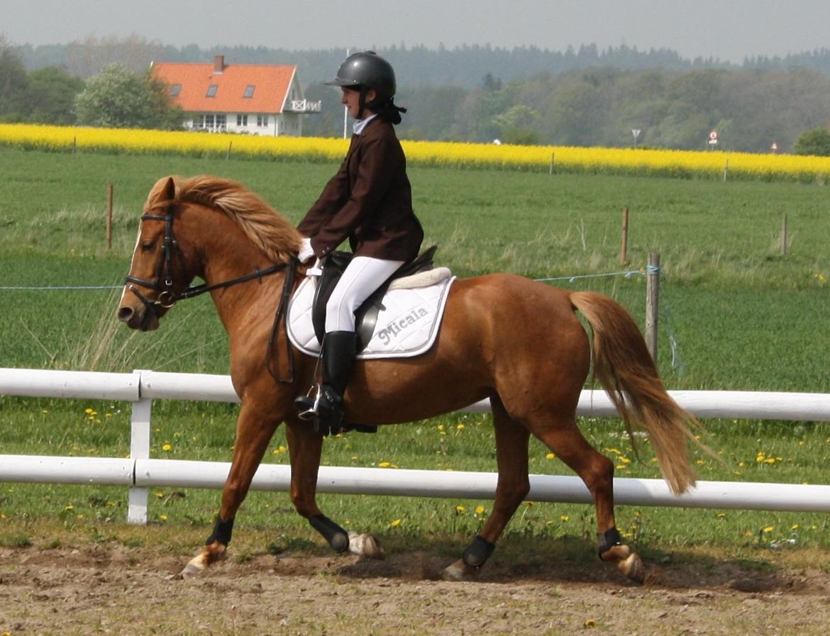 Maybe Baby 2013 billede 26