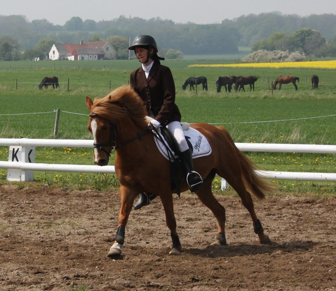 Maybe Baby 2013 billede 25