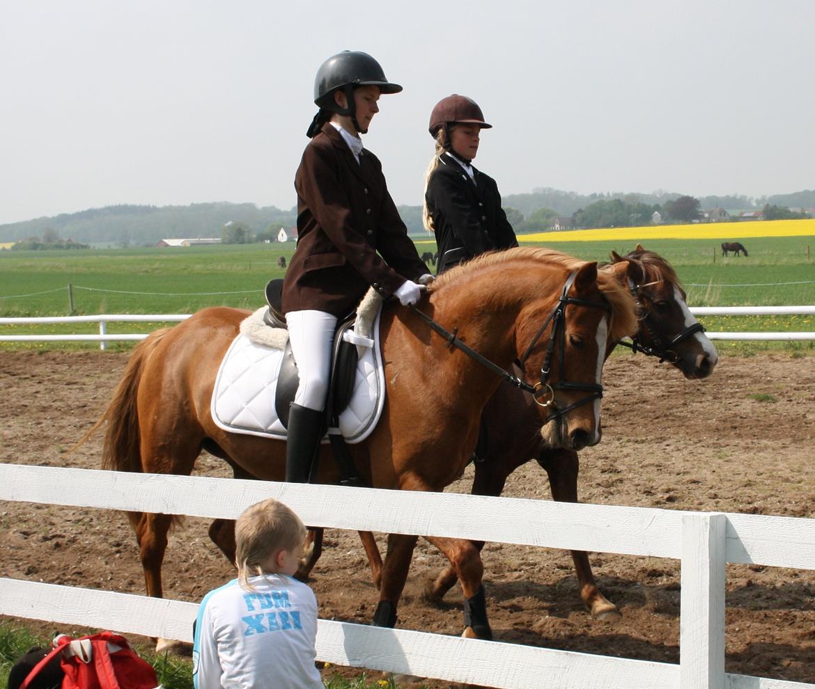 Maybe Baby 2013 billede 24