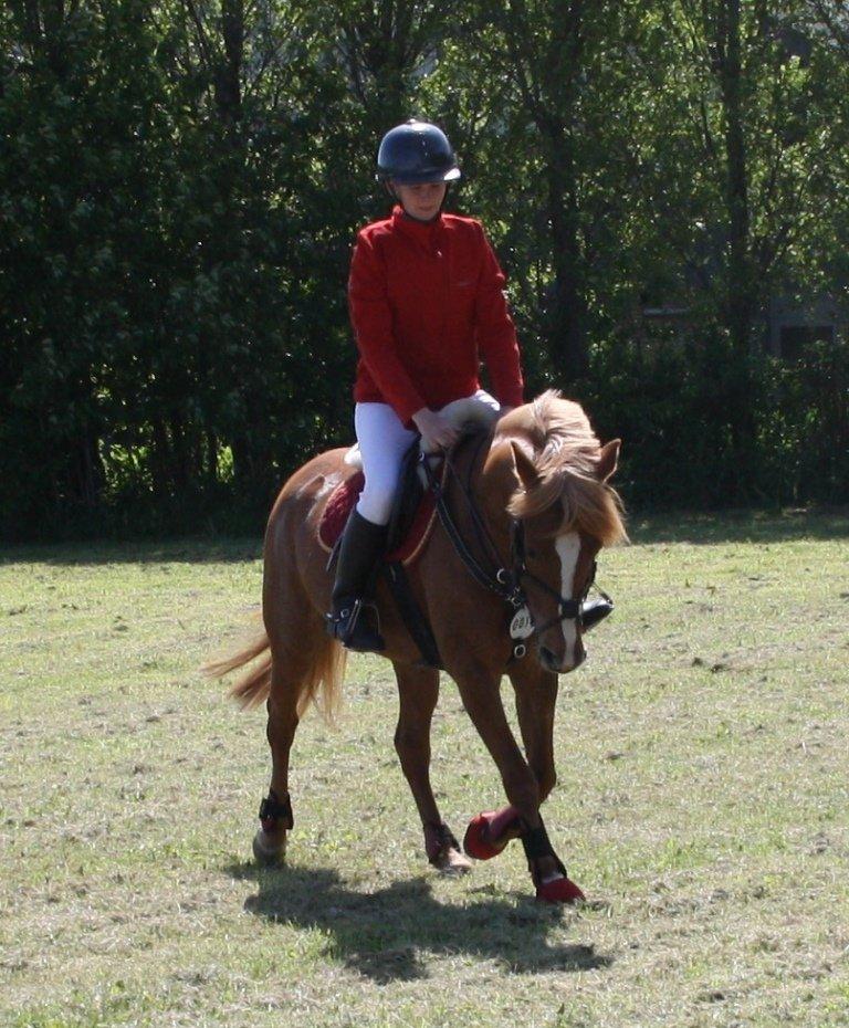 Maybe Baby 2013 billede 23