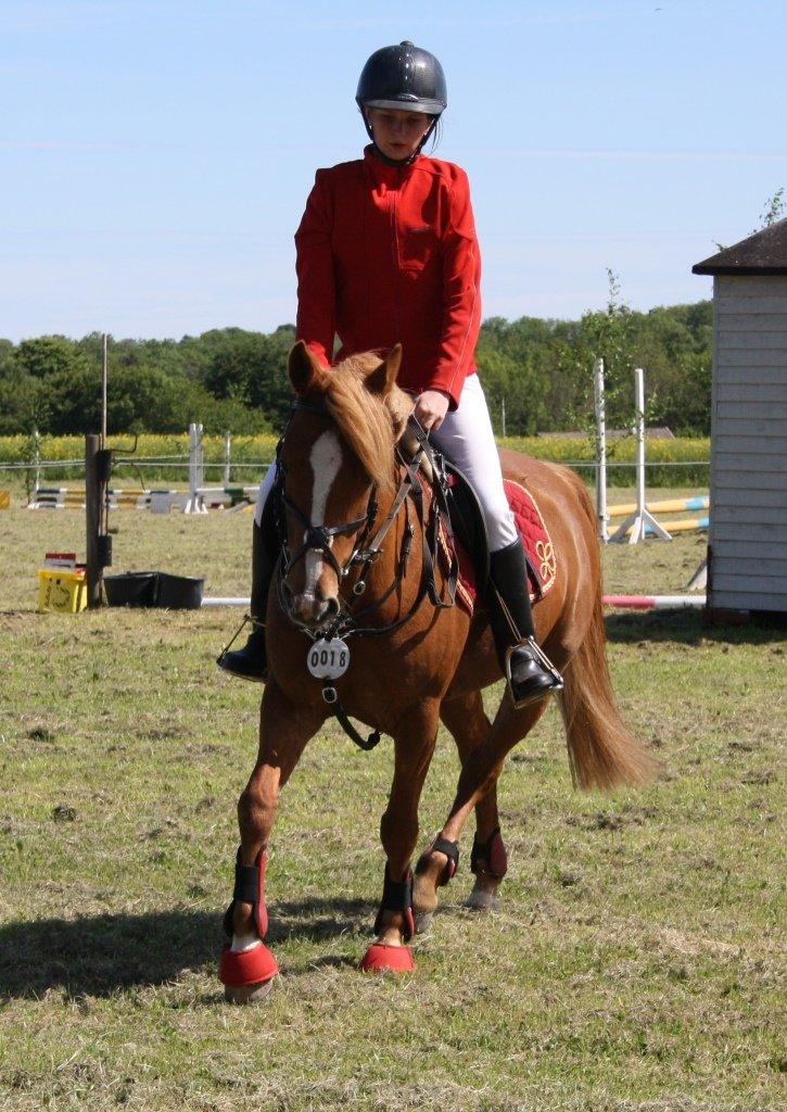 Maybe Baby 2013 billede 22