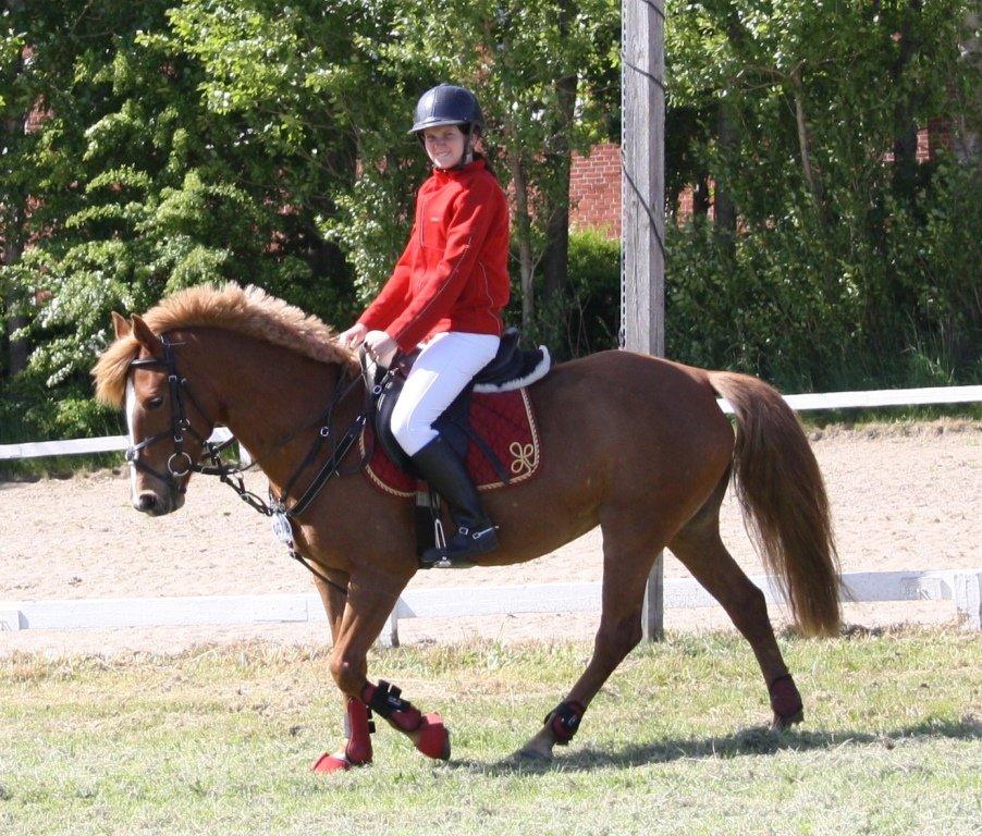 Maybe Baby 2013 billede 20