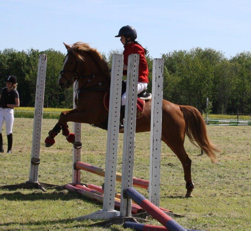 Maybe Baby 2013 billede 16