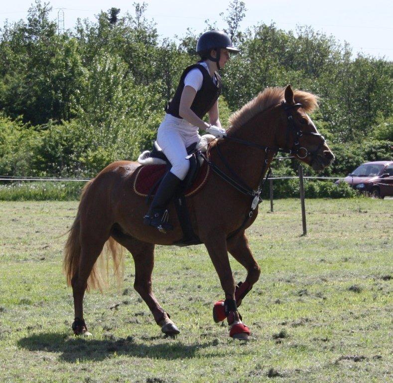 Maybe Baby 2013 billede 14