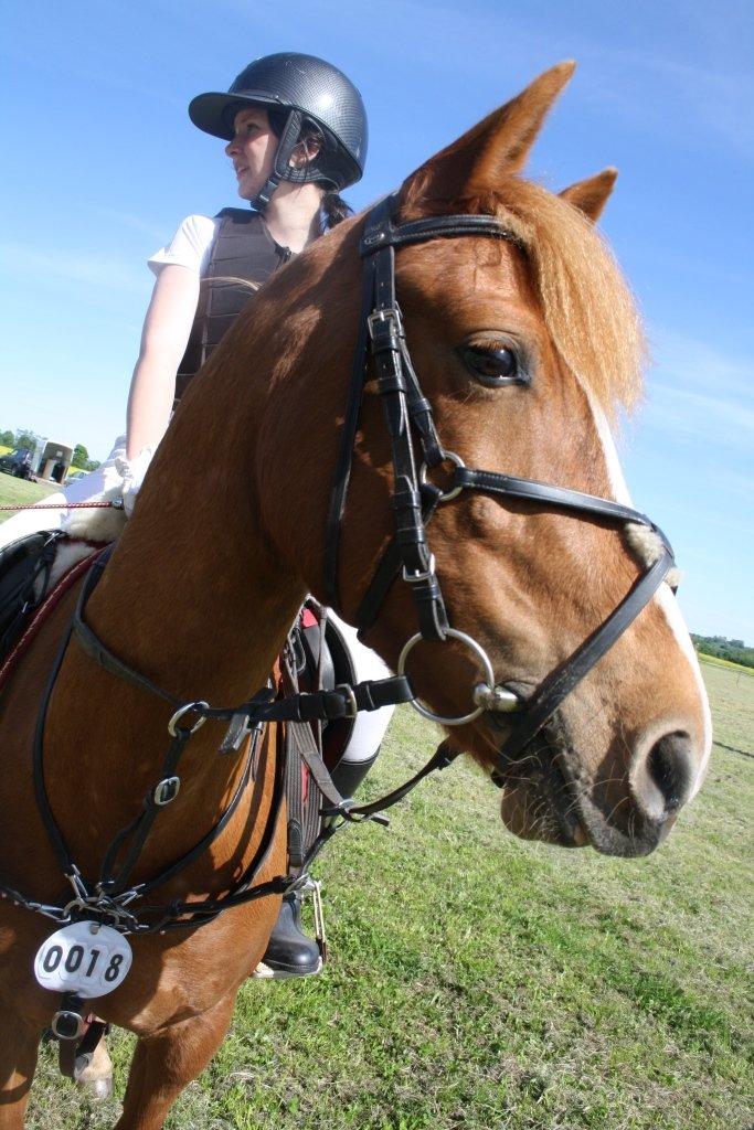 Maybe Baby 2013 billede 12