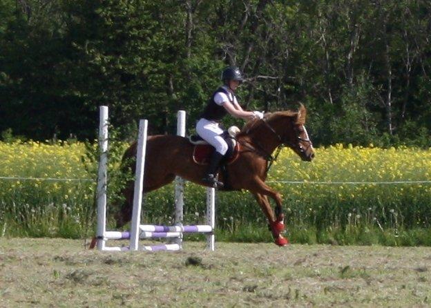 Maybe Baby 2013 billede 11