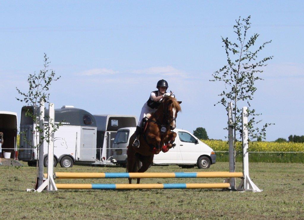 Maybe Baby 2013 billede 10