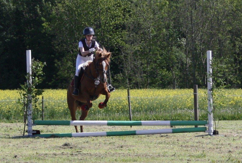 Maybe Baby 2013 billede 9