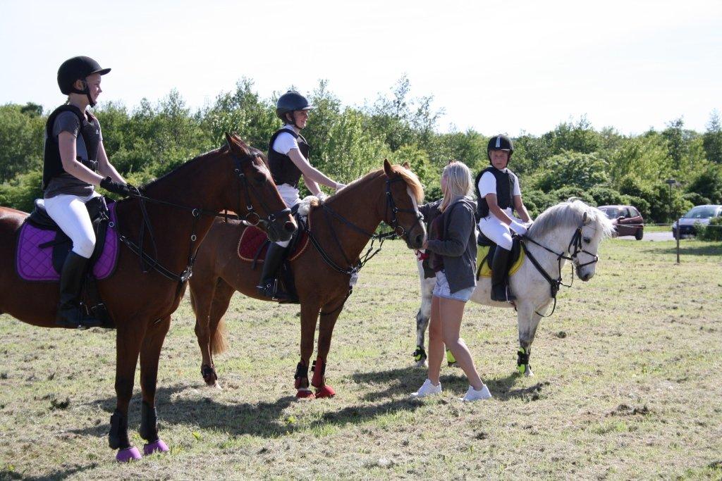 Maybe Baby 2013 billede 8