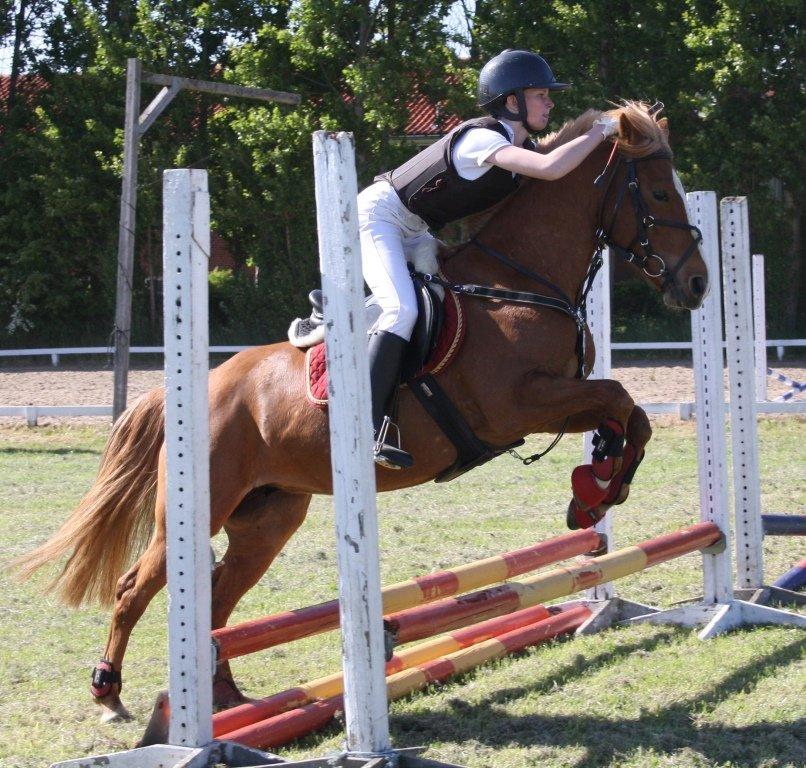 Maybe Baby 2013 billede 7