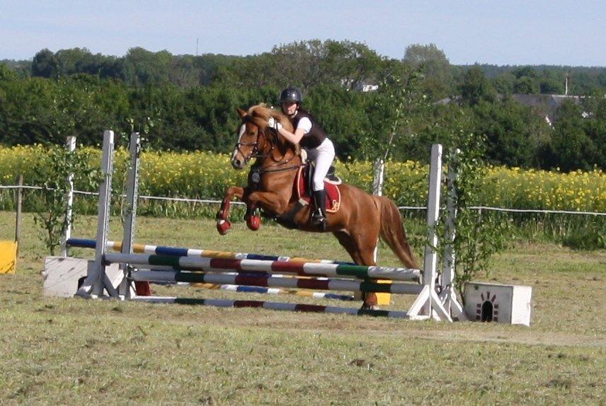 Maybe Baby 2013 billede 6