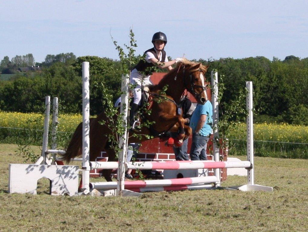 Maybe Baby 2013 billede 5