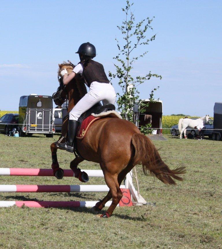 Maybe Baby 2013 billede 4