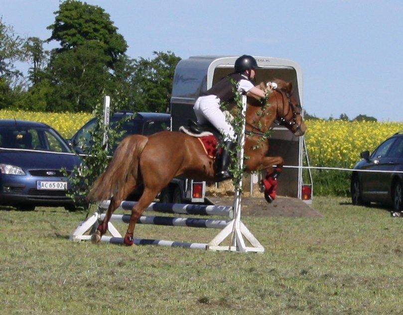 Maybe Baby 2013 billede 3