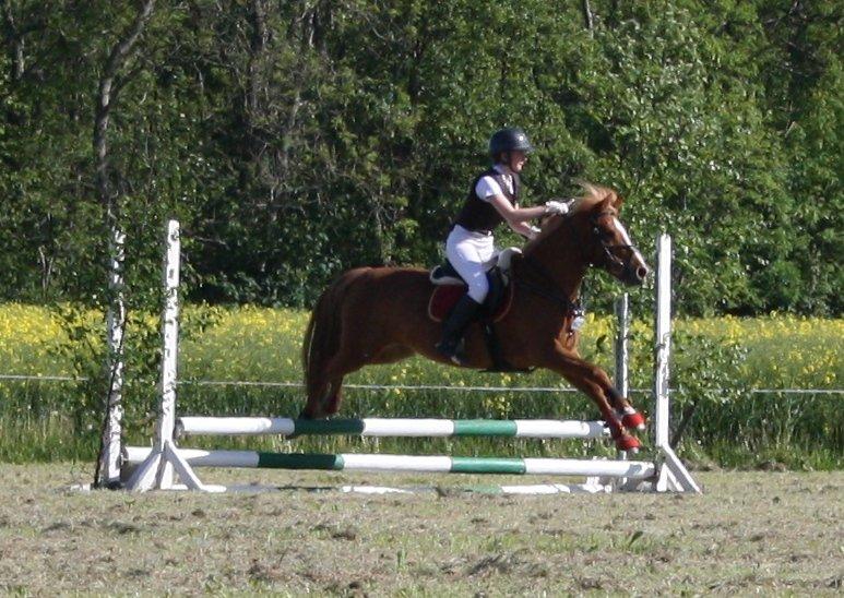 Maybe Baby 2013 billede 2