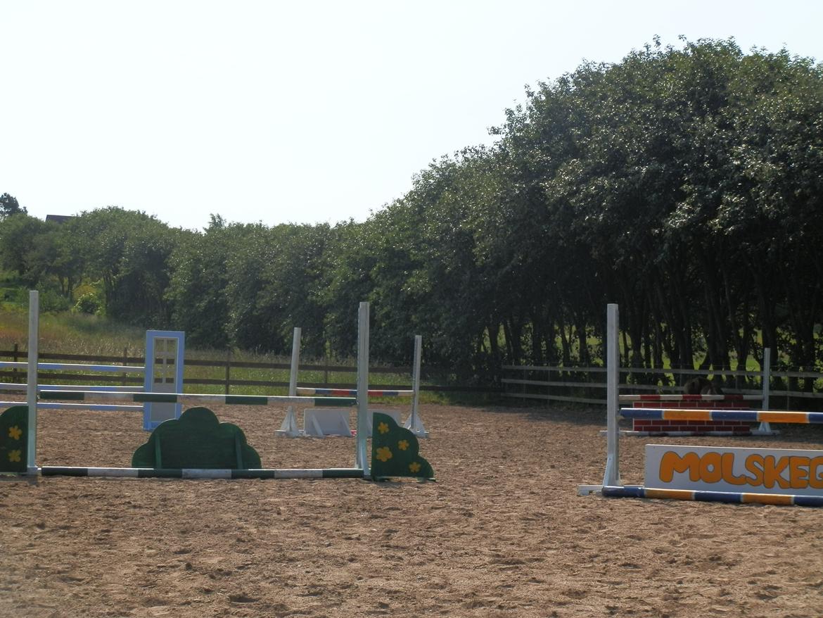 NY SPRING BANE!!!! billede 1