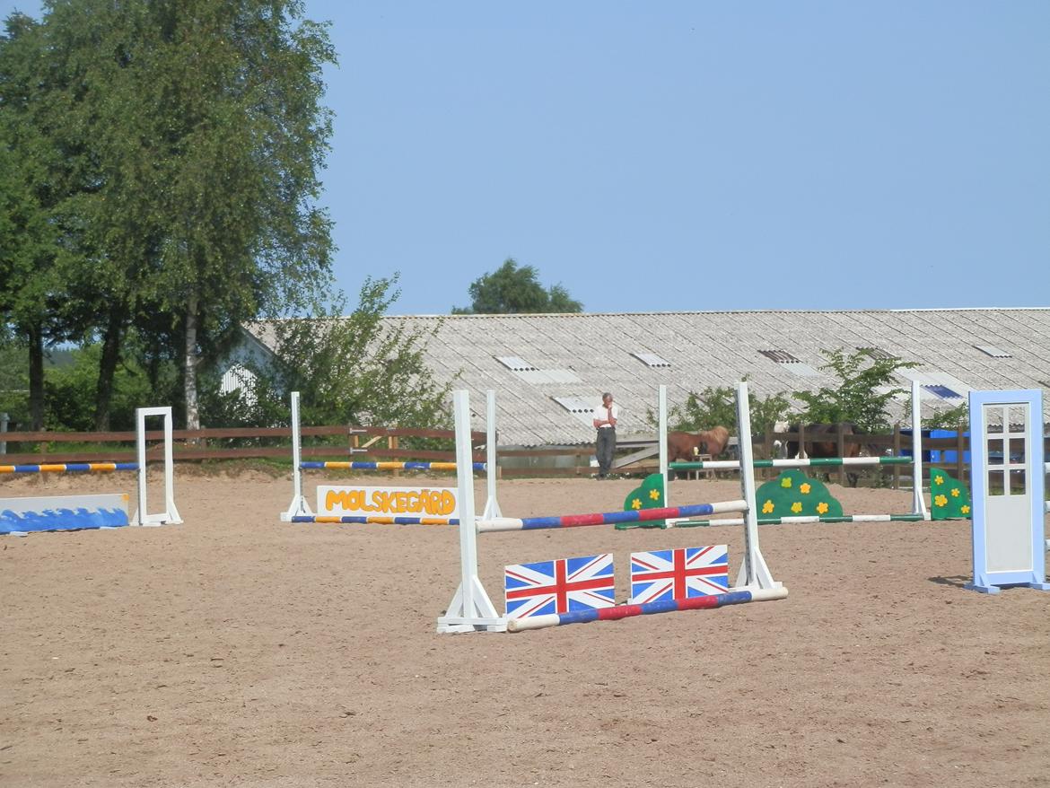 NY SPRING BANE!!!! billede 4