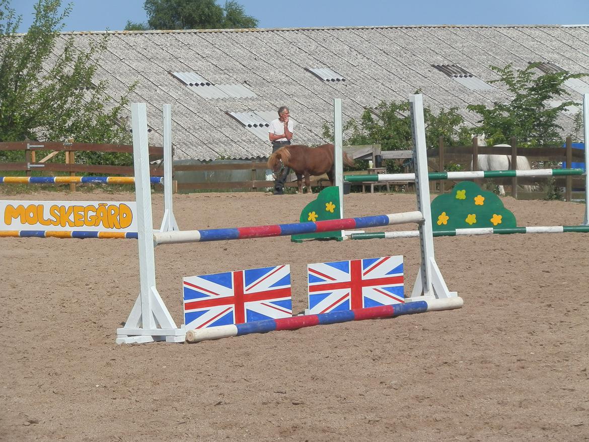 NY SPRING BANE!!!! billede 8