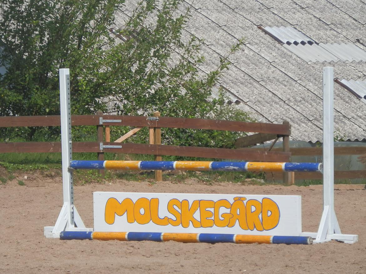 NY SPRING BANE!!!! billede 11