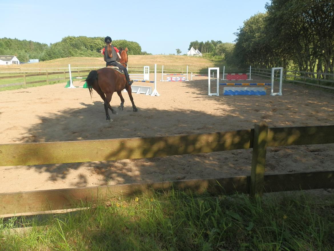 NY SPRING BANE!!!! billede 13