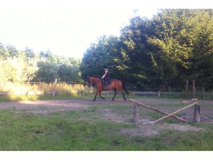 {{currentPhoto.altText}} billede {{currentPhoto.number}}