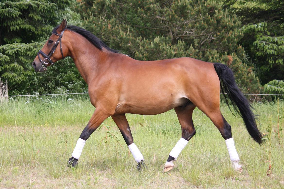 Skønneste Prunse billede 80