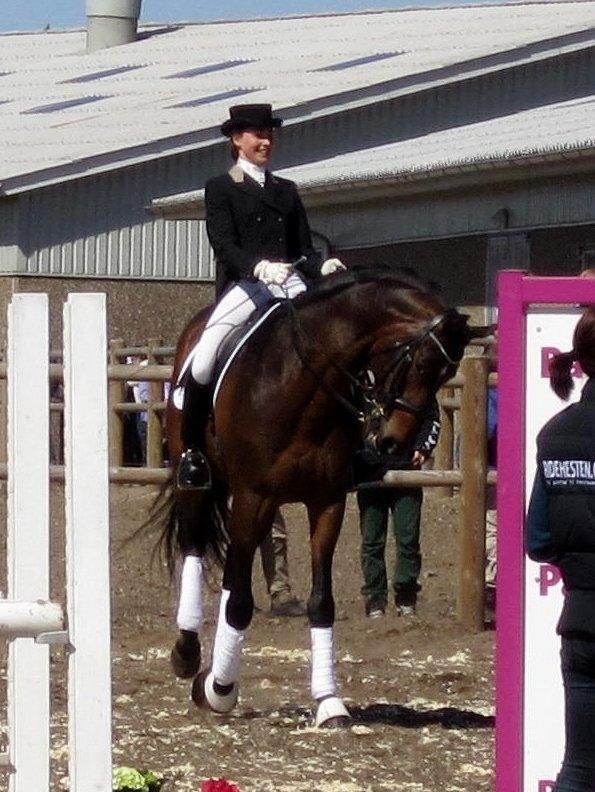 Bøgegårdens Laurino DVH 888 billede 109