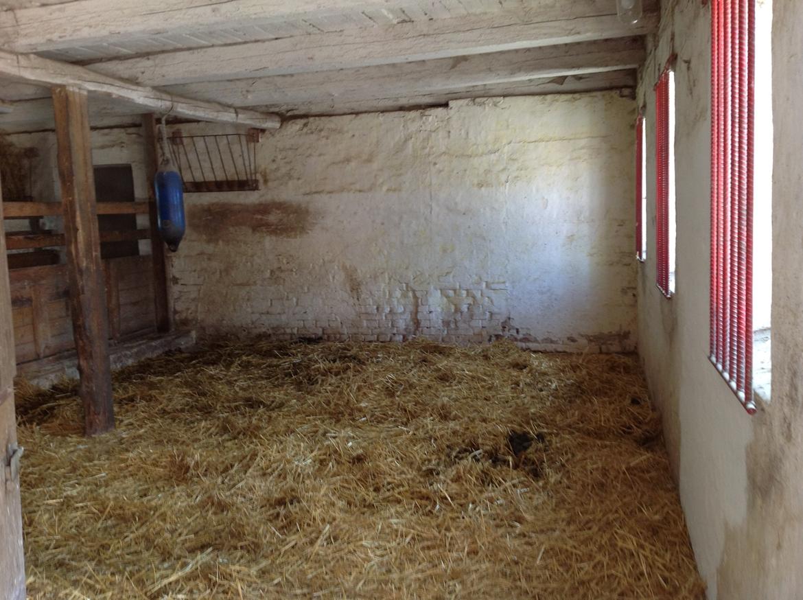 Renovering af stald  billede 21