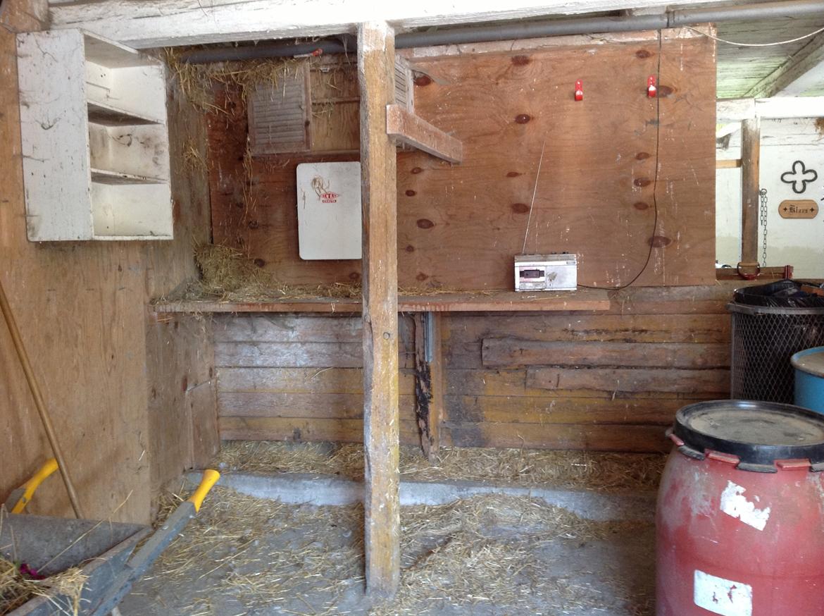 Renovering af stald  billede 20