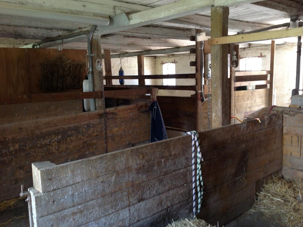 Renovering af stald  billede 18