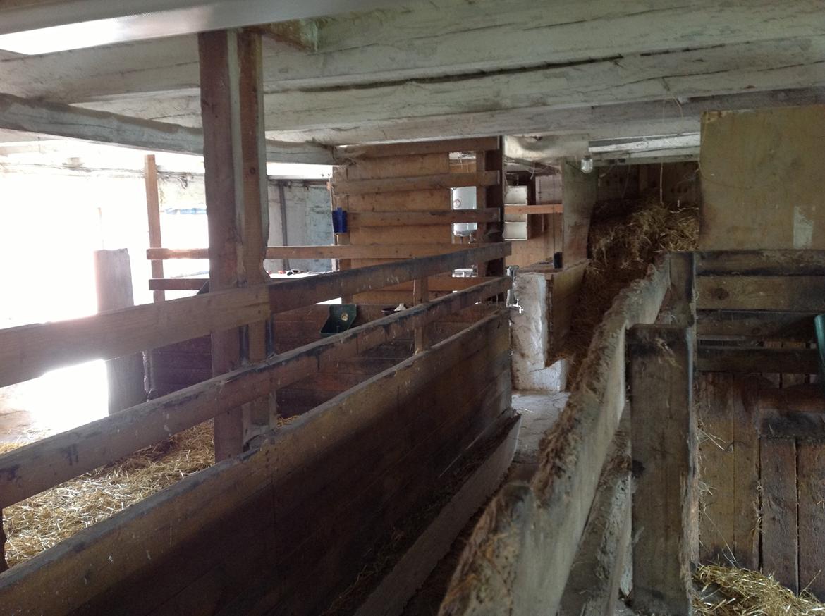 Renovering af stald  billede 17