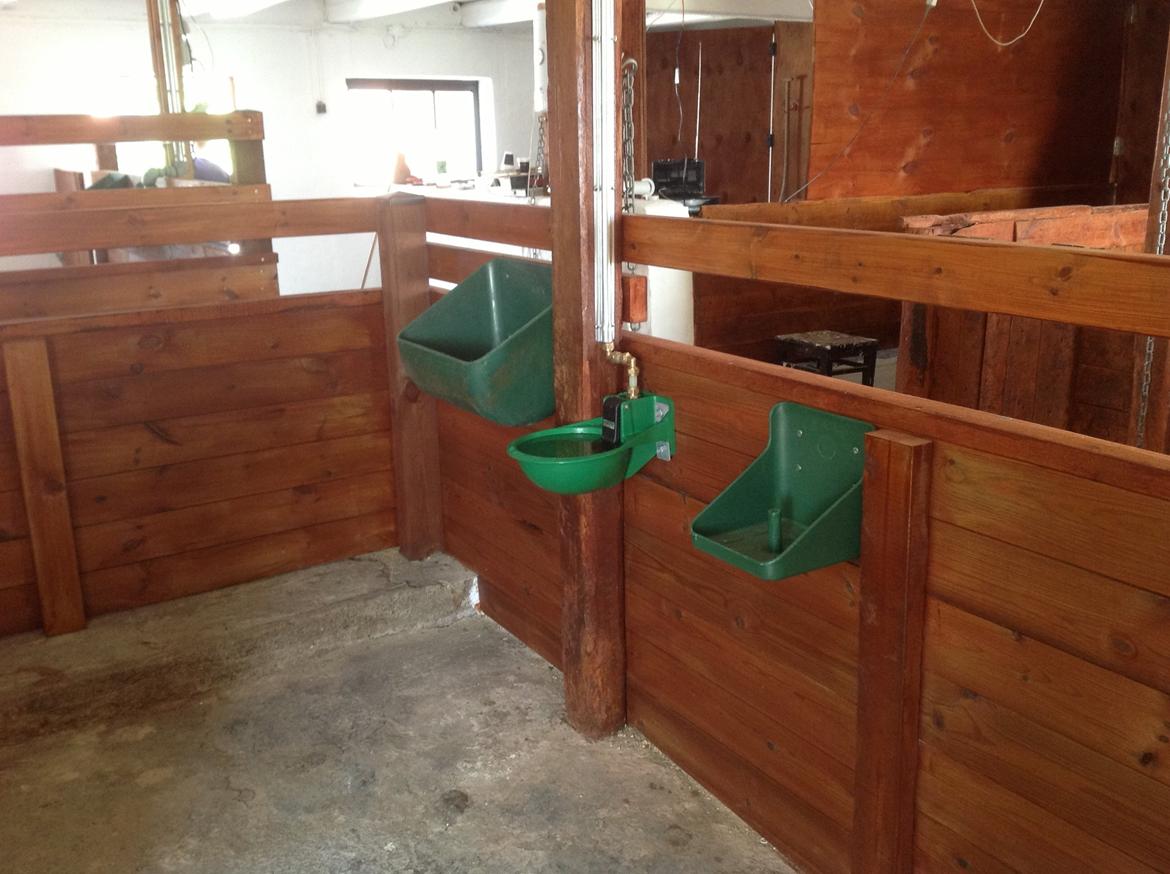 Renovering af stald  billede 11