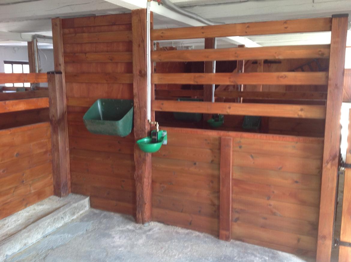 Renovering af stald  billede 9